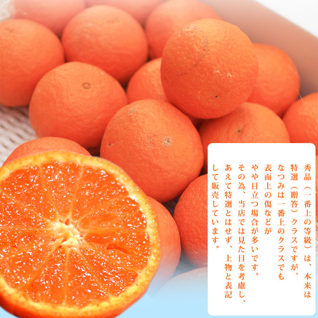 なつみ みかん 約2.4kg箱 秀品（上物）小分け品