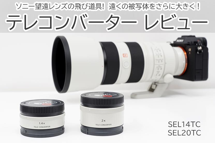 ソニー テレコン レビュー 作例付き 望遠レンズの飛び道具!