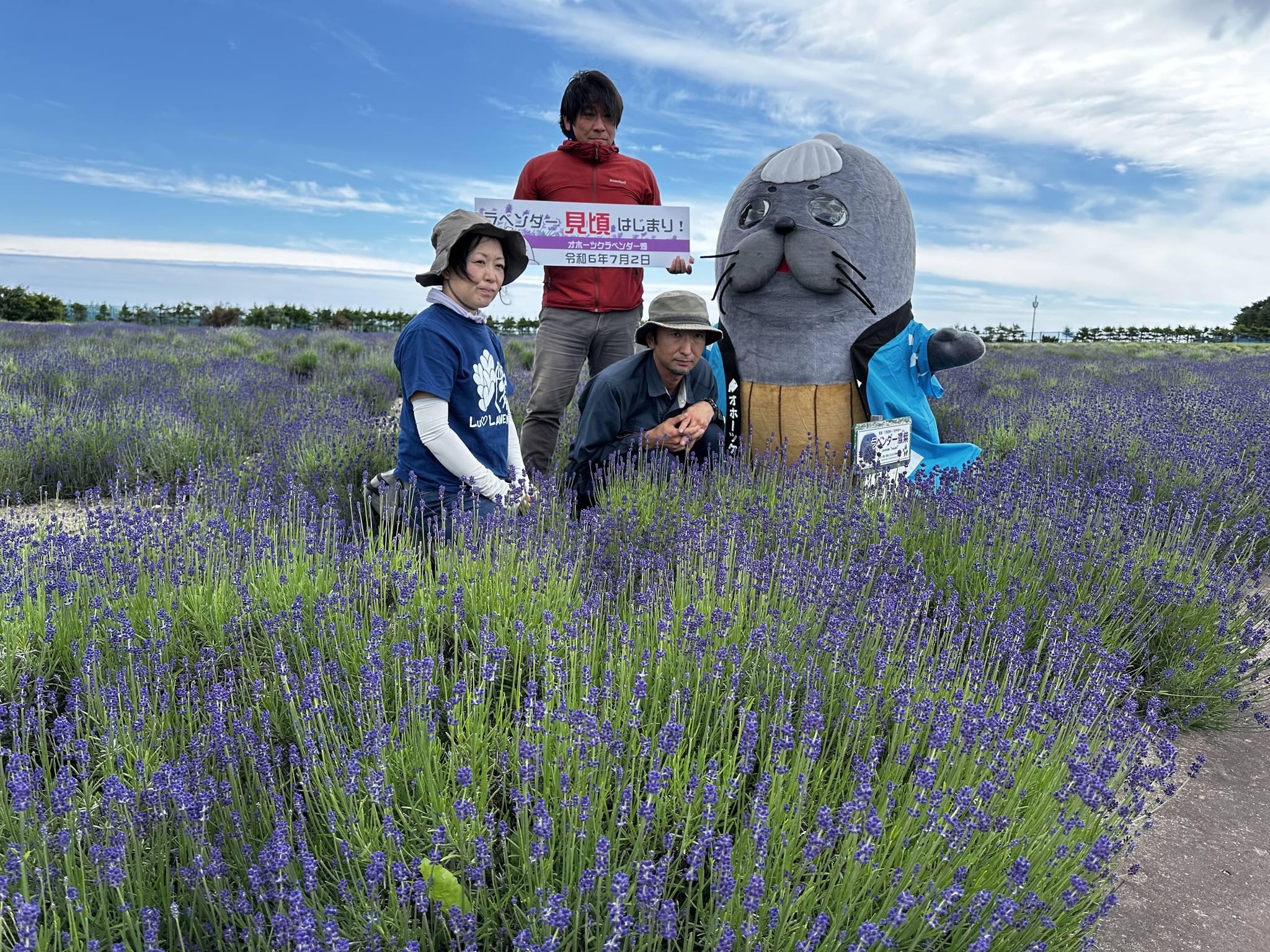 R6.7.2.ラベンダー見頃宣言 - 北海道立オホーツク流氷公園 北海道紋別市