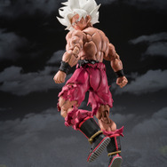 クリリンのことかーっ!!!!!」を完全再現！「ドラゴンボールZ」より