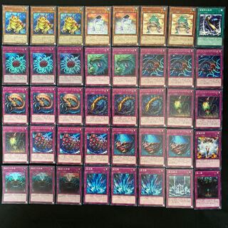 バージェストマデッキ 本格構築 遊戯王No.94 1枚の通販 pareruya