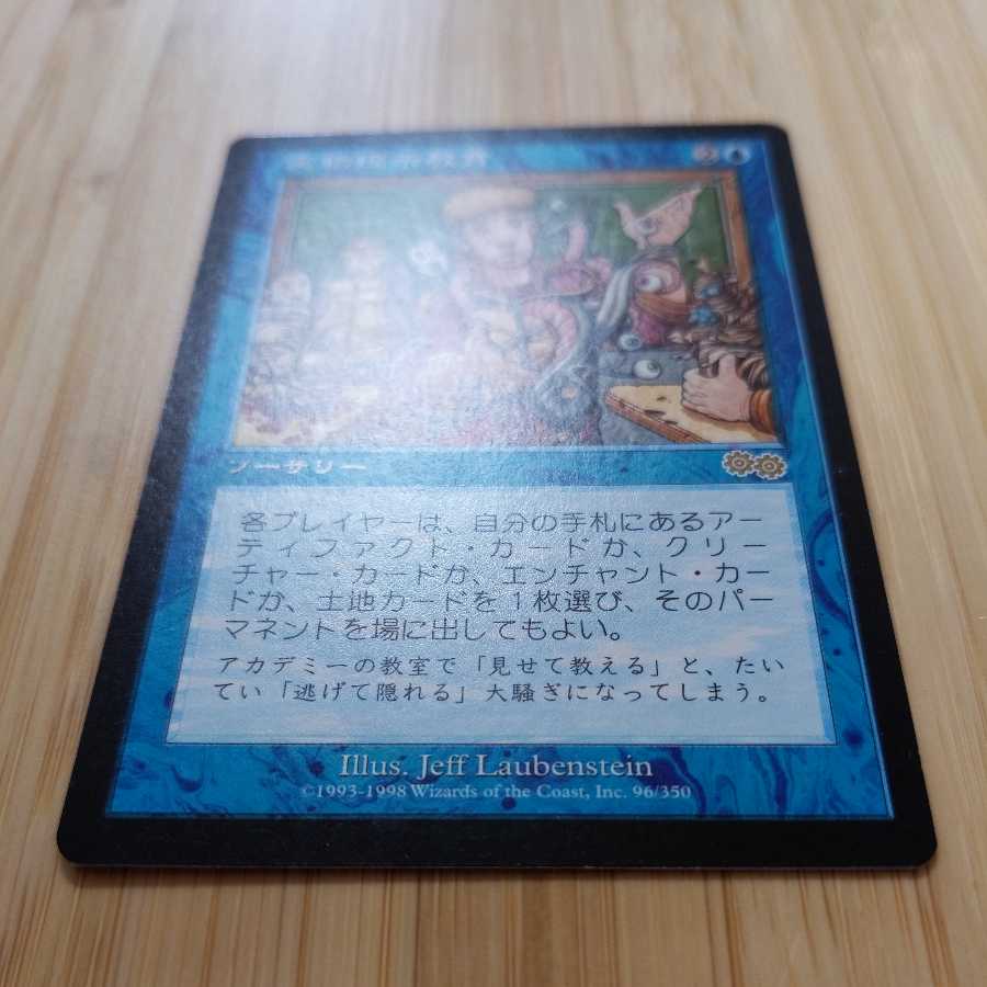 MTG 実物提示教育(日本語) USG 1枚の通販 tdh（1950518362） | magi