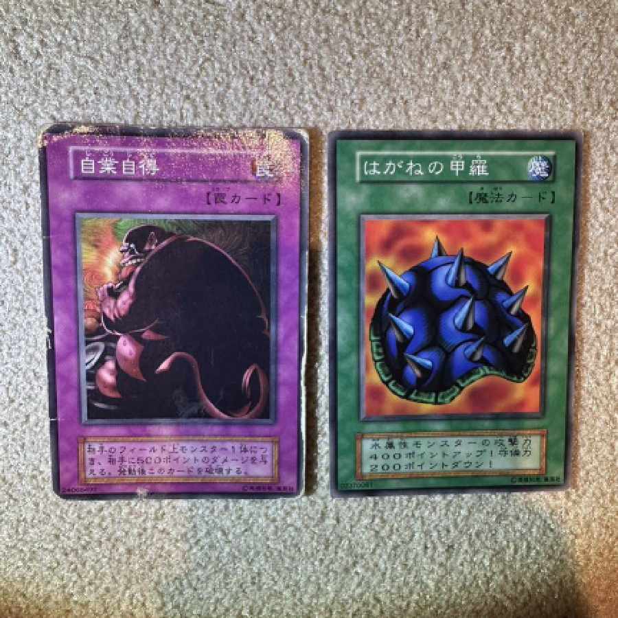 遊戯王 遊戯王カード 自業自得 はがねの甲羅 魔法カード 罠カード ホロ