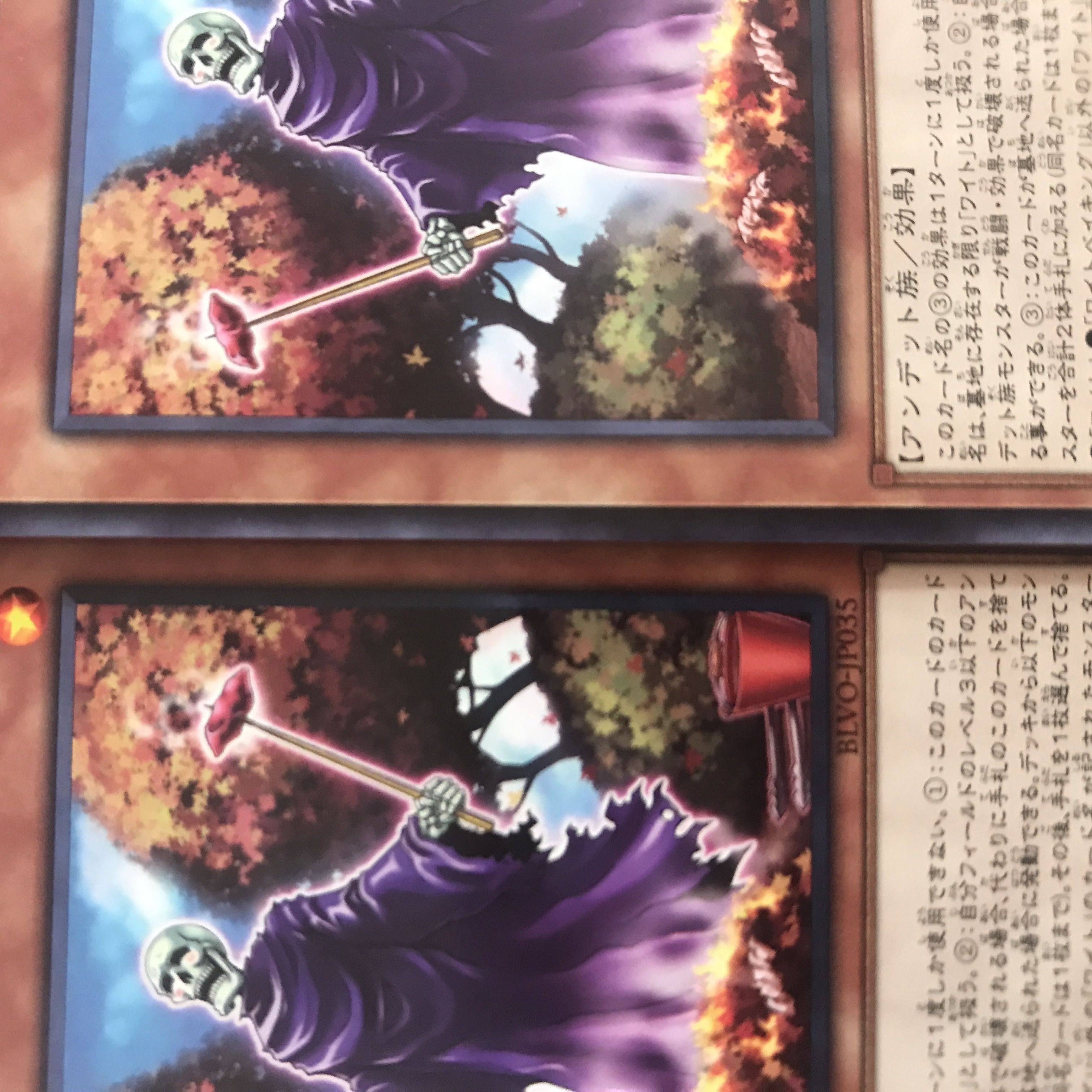 遊戯王【超本格ガチ構築！！】ワイトデッキ40枚 30枚の通販 メデューサ