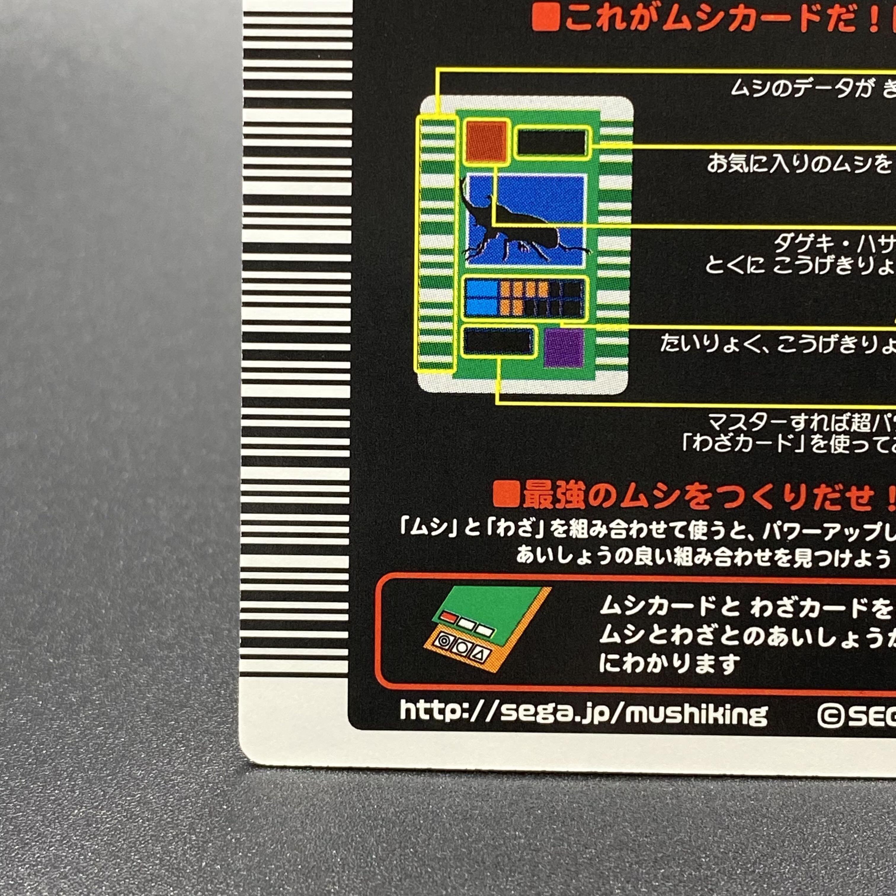 ヘルクレスオオカブト 03春クリスタルキラロングバーコード 1枚の通販