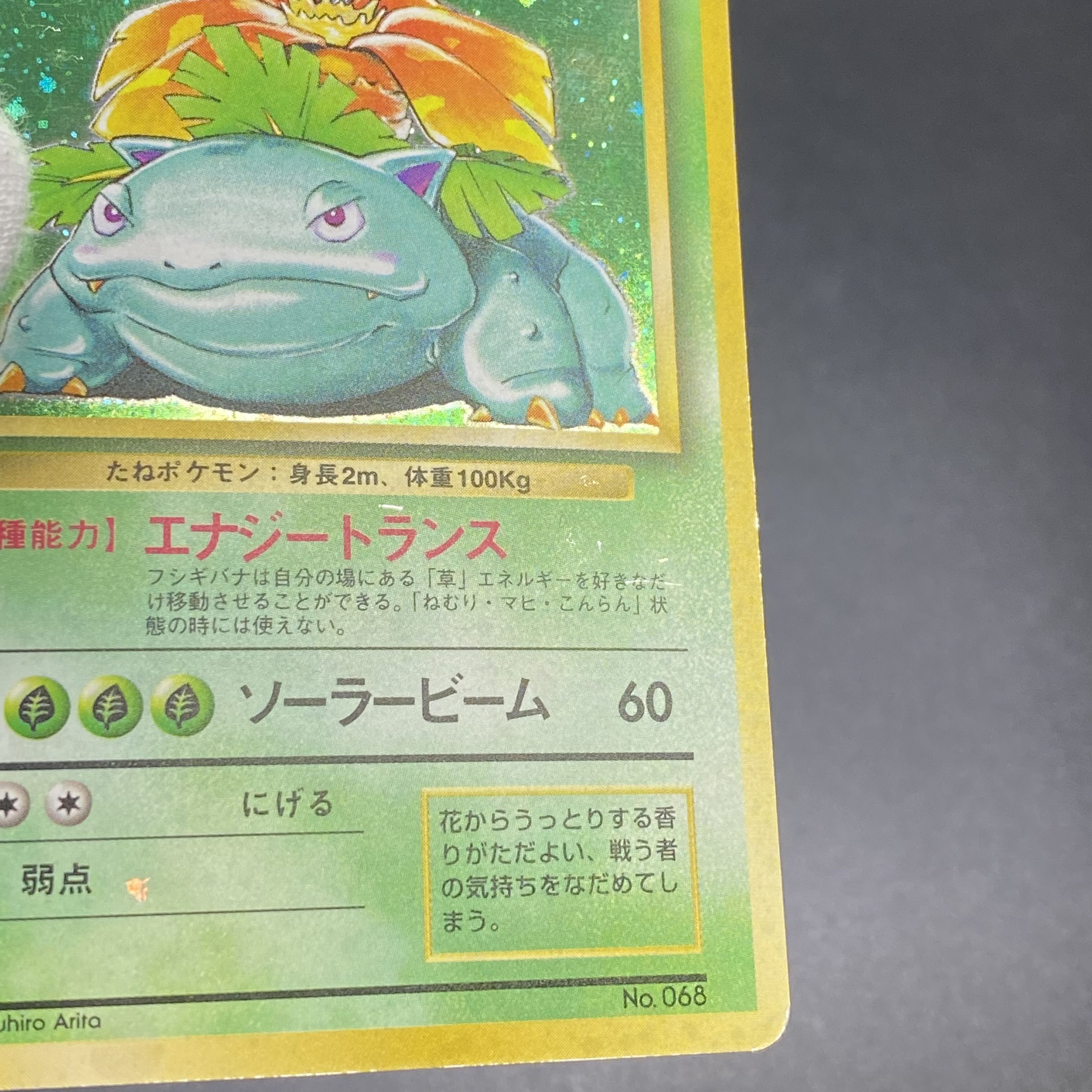 フシギバナ 旧裏 初版 マーク無し 1枚の通販 土日祝休 magi公式(委託