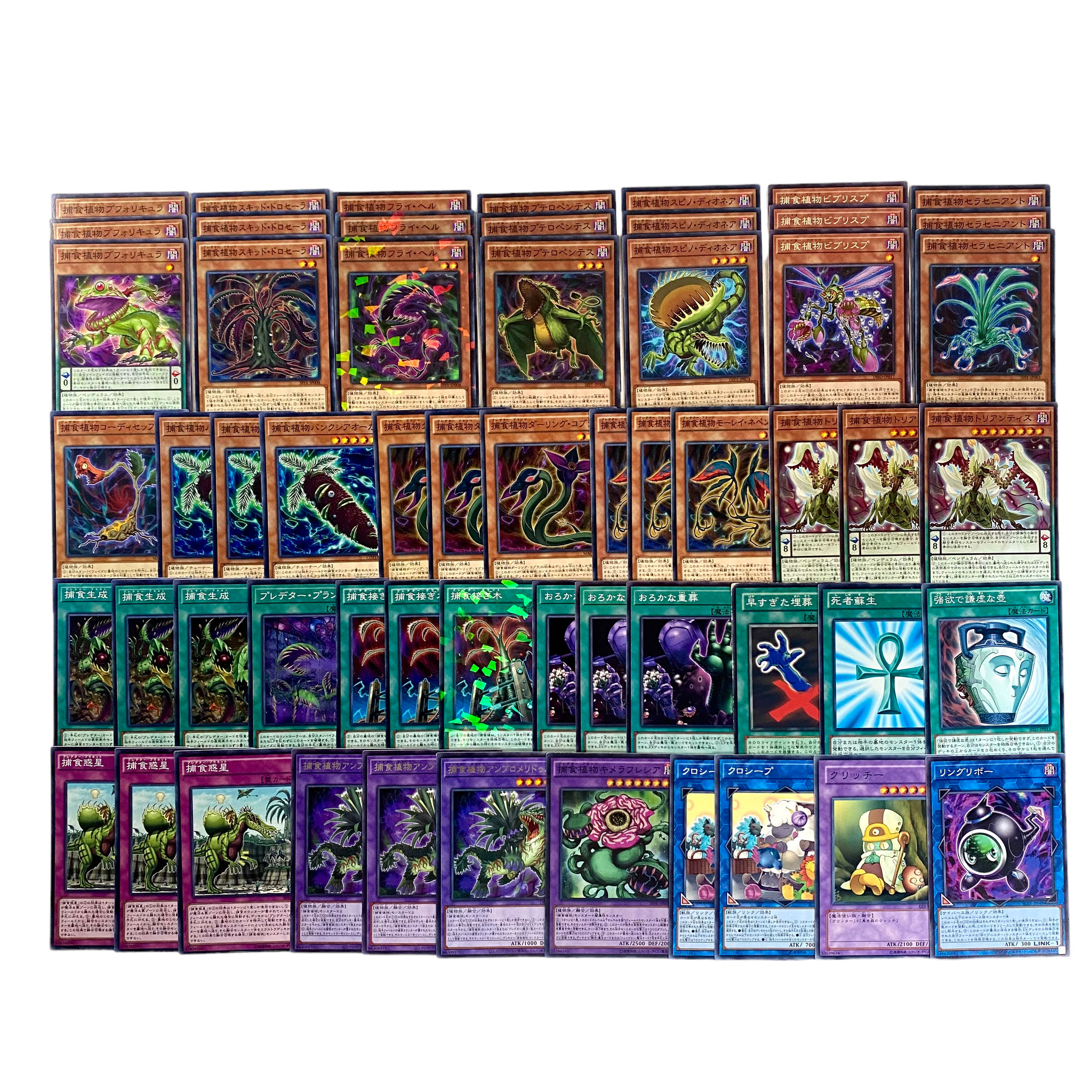 遊戯王】捕食植物-プレデタープランツ- デッキパーツ 大量セット汎用