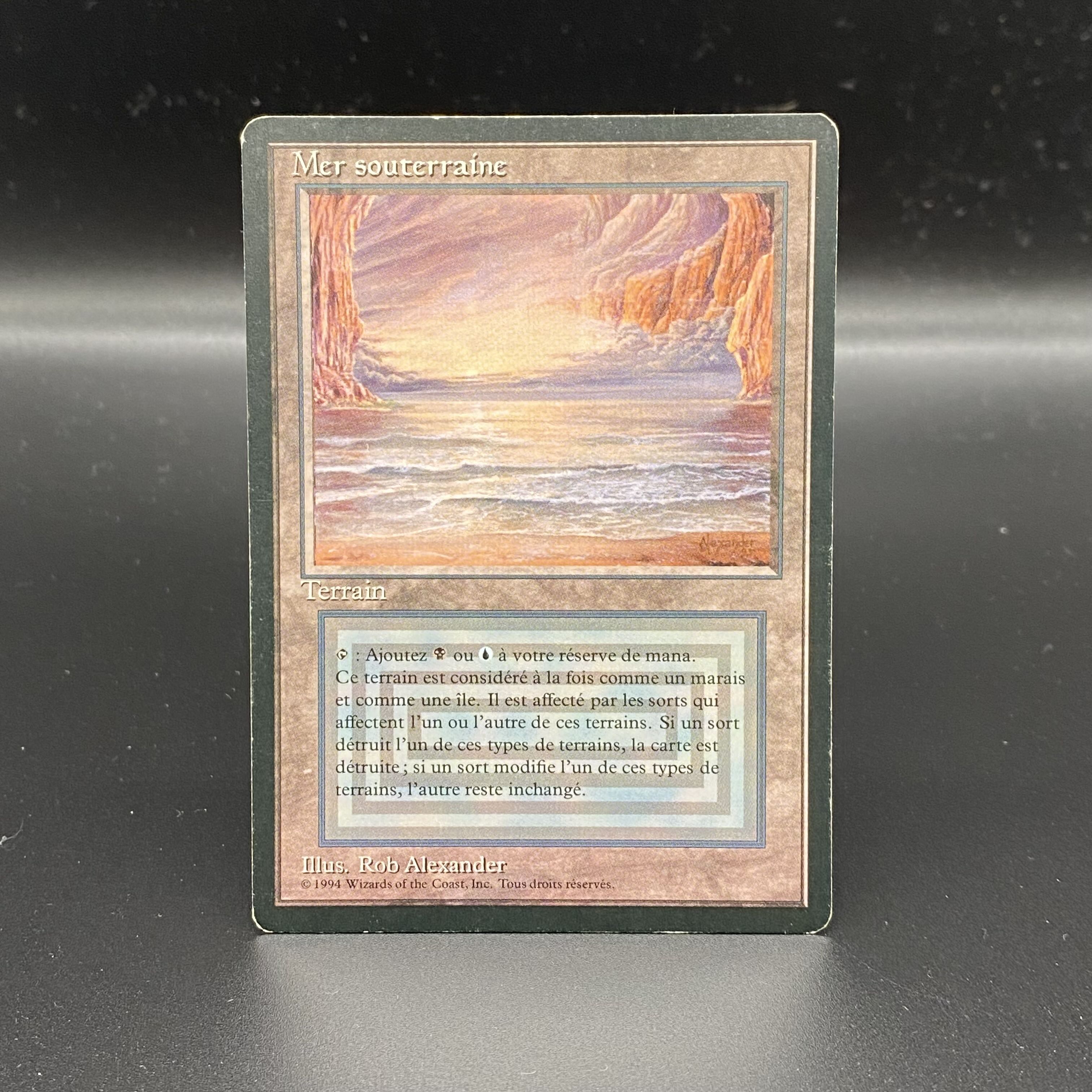 Underground Sea / Mer souterraine 多言語 1枚の通販 土日祝休 magi