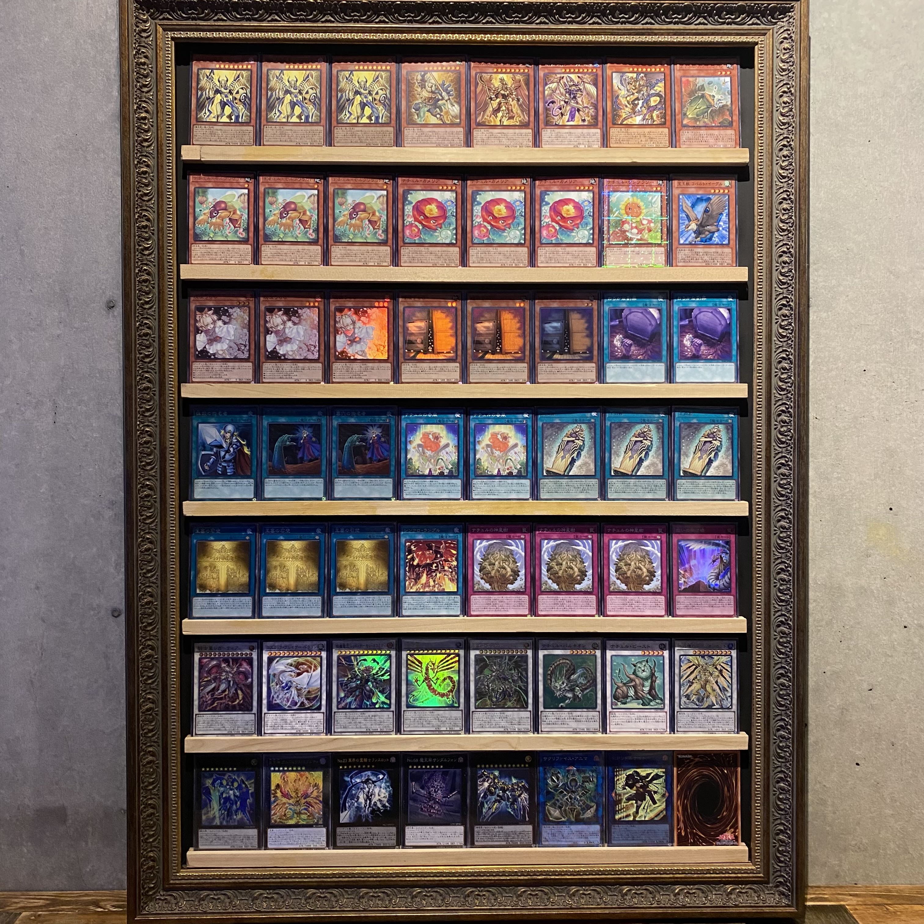 即日発送！大会用【ナチュルホルス】デッキ 遊戯王 ホルスの栄光