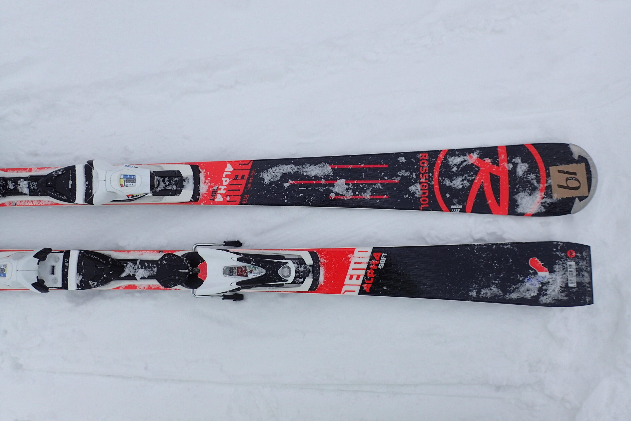 ROSSIGNOLロシニョール DEMO ALPHA Softデモアルファソフト│skibum