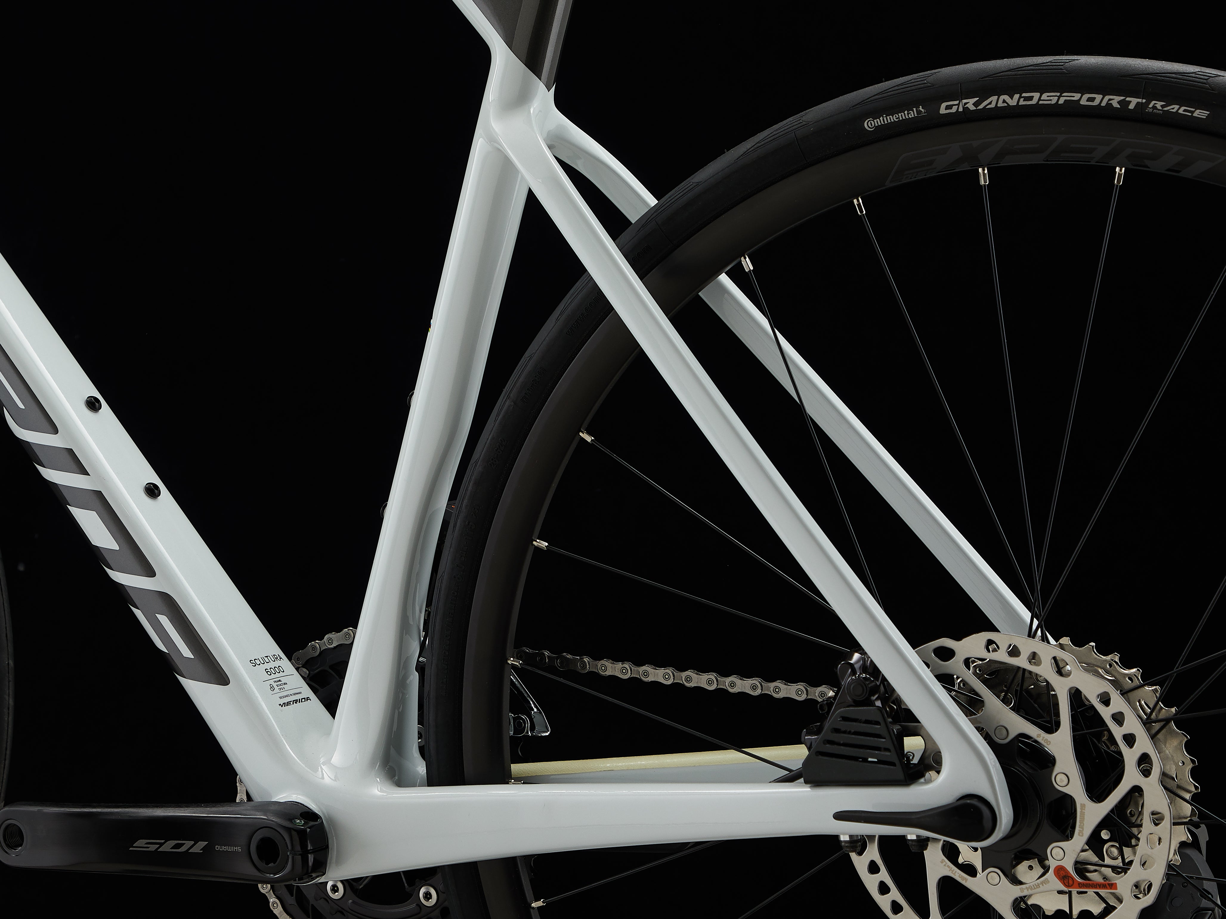 2024_SCULTURA_6000_D-3.jpg?v=