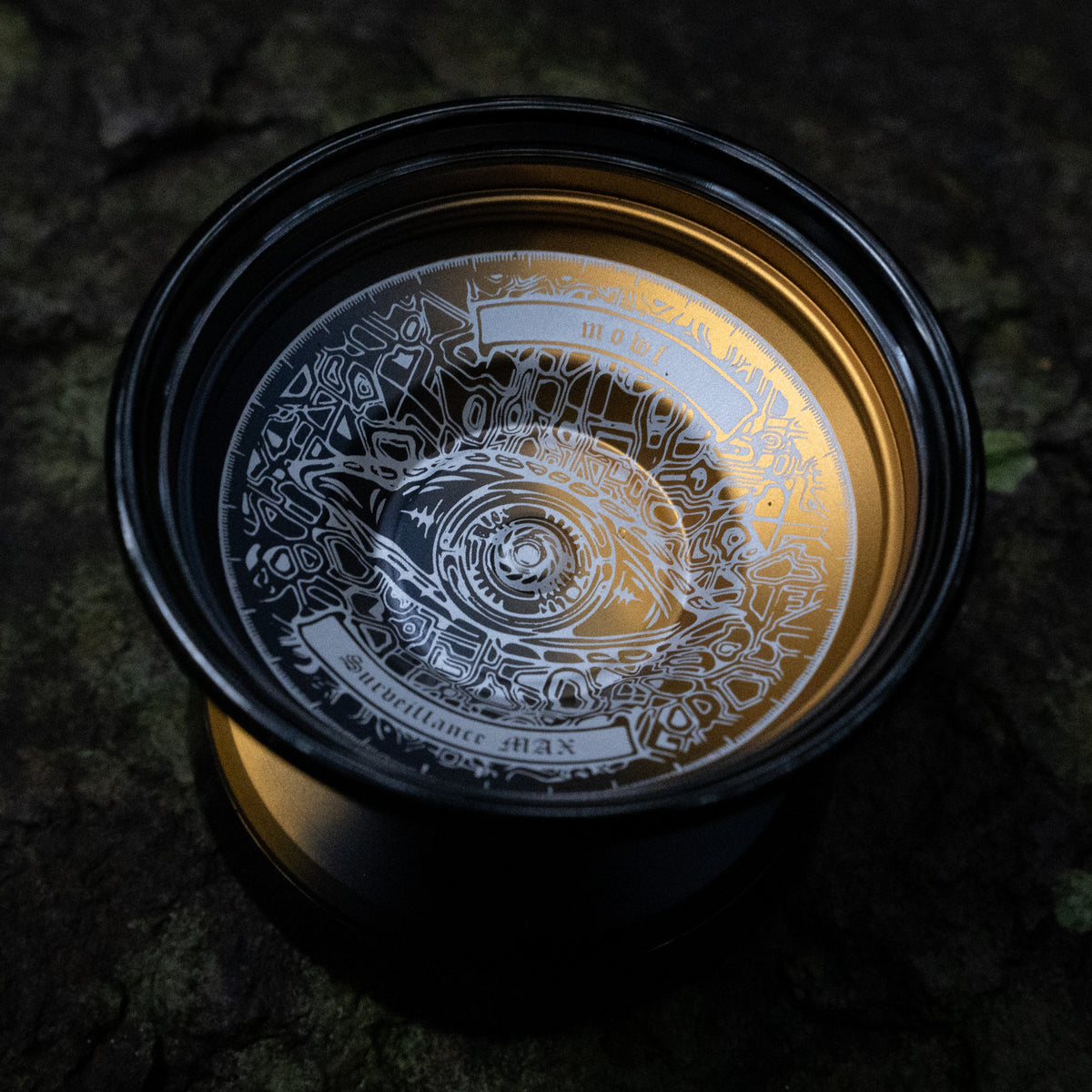 Surveillance – mowl