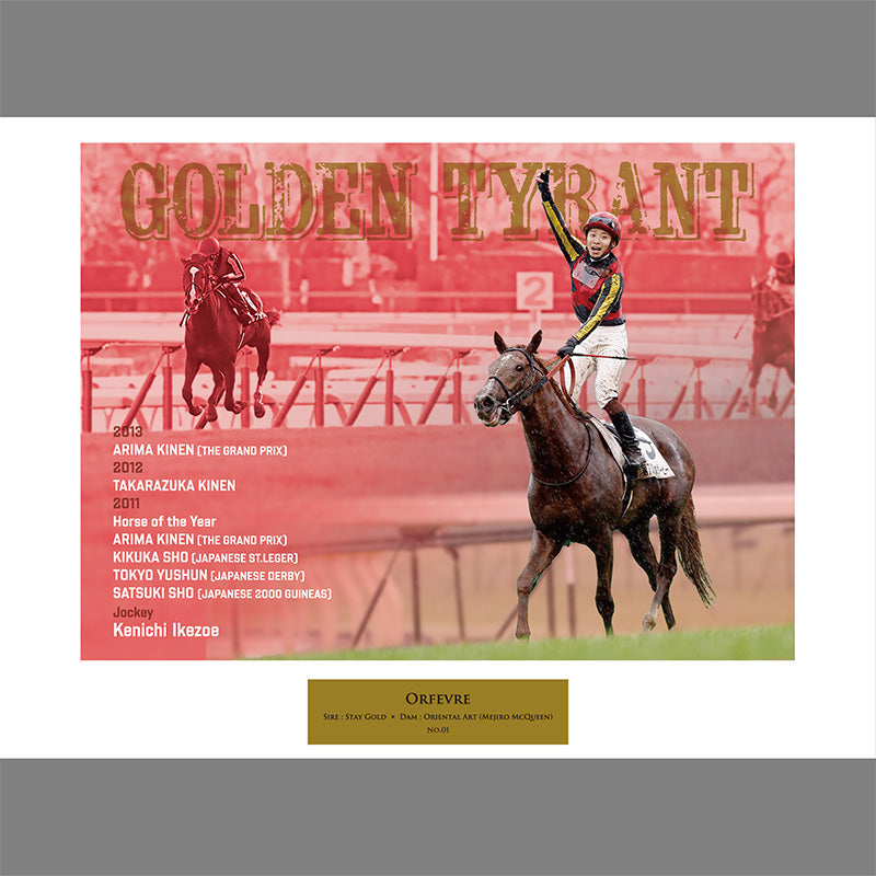 オルフェーヴル・オリジナル写真パネル｜netkeiba