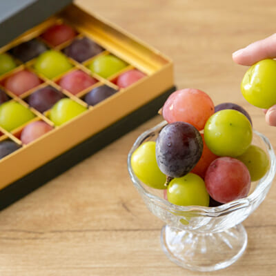 新潟直送計画】ぶどうのジュエリーボックス – ヤマヨ果樹園（Le Verger