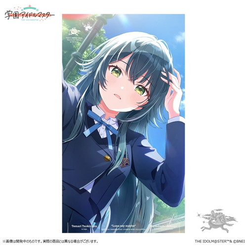 秦谷美鈴 1st Single「ツキノカメ」