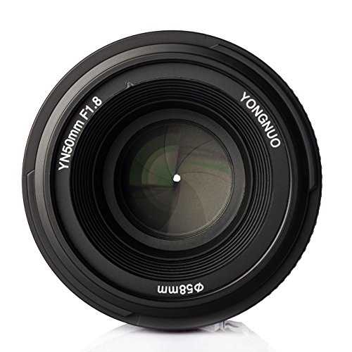 YONGNUO YN50mm F1.8N 単焦点レンズ ニコン - ベアストア