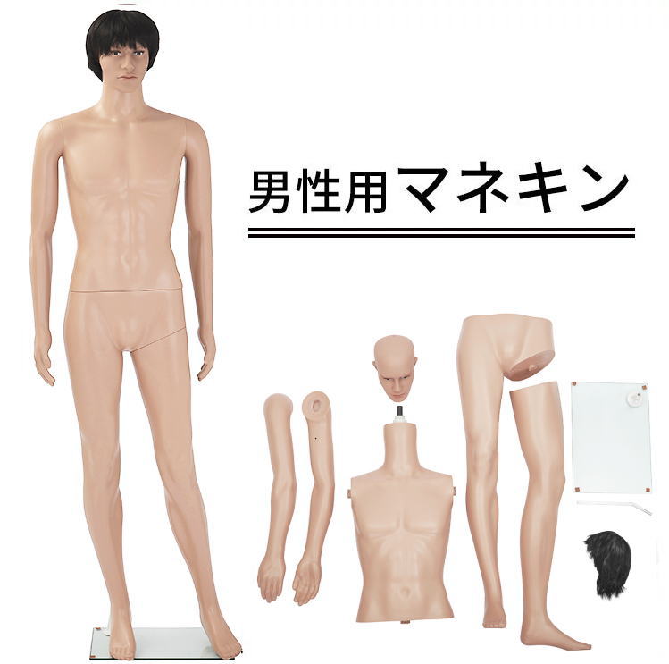 楽天市場】男性用マネキンGM-1送料無料 マネキン 全身 男性 / トルソー
