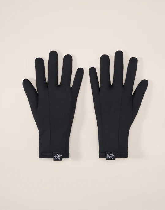 楽天市場】アークテリクス ARC'TERYX 手袋 グローブ VENTA GLOVE