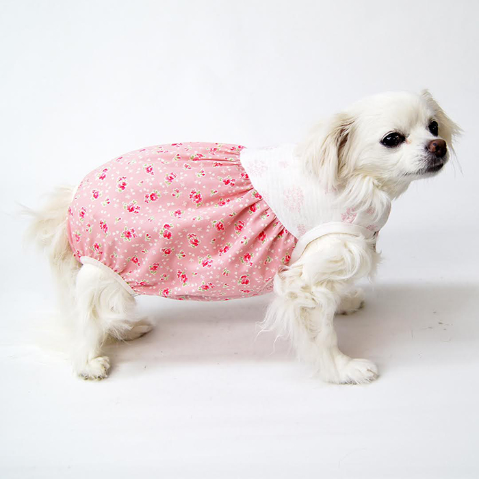 楽天市場】【胴長小型犬向け】おむつカバー型紙 : CELEBDOG