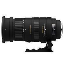 シグマ APO 50-500mm F4.5-6.3 DG OS HSM ソニー用 | 交換レンズ