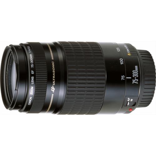 キヤノン（CANON） EF 75-300/4-5.6 USM | 交換レンズ