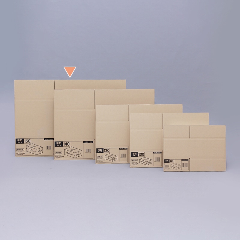 アイリスオーヤマ ダンボール 160サイズ 72×40×38 M-DB-160LL 1個（ご