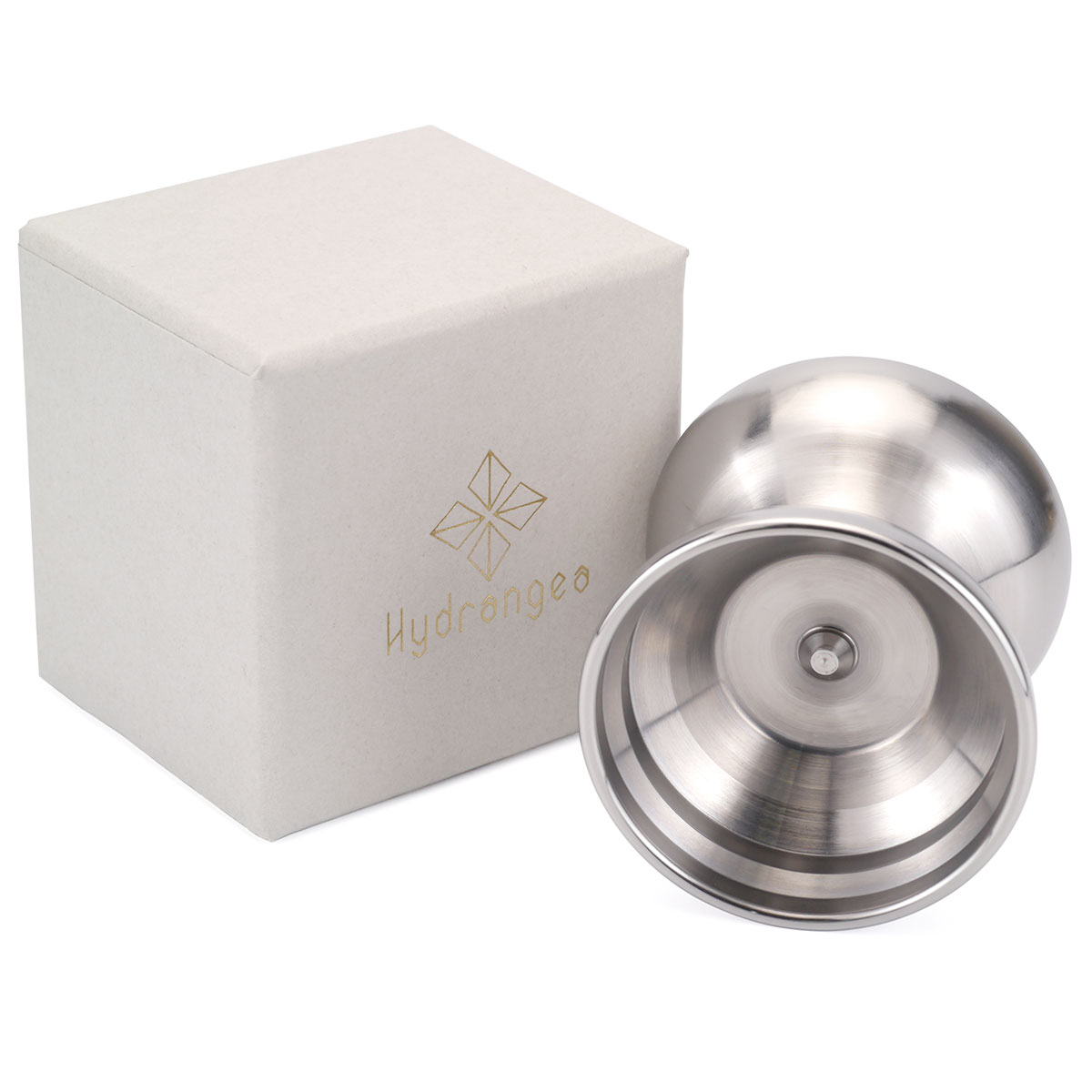 SPINGEAR - HYDRANGEA Haworthia