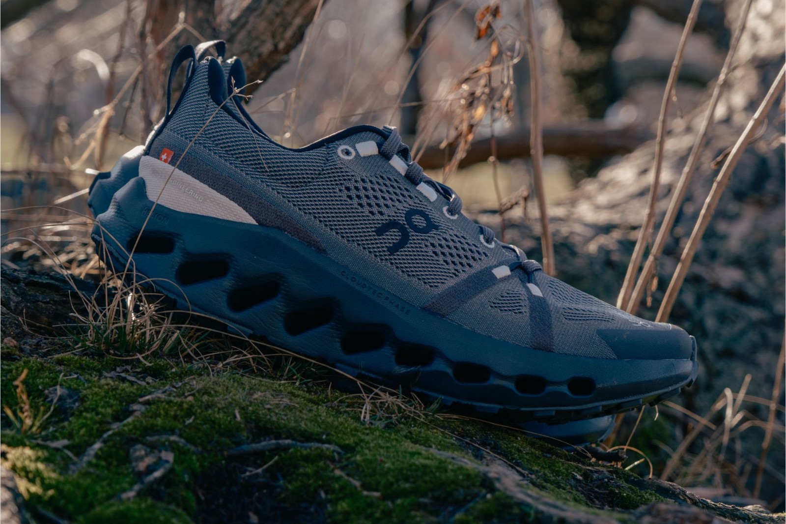 On Cloudsurfer Trail Review: Mostly Sunny Skies - Believe in the Run