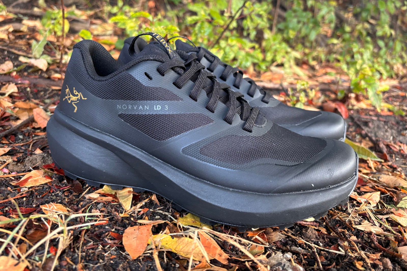 Arc'teryx Norvan LD 3 Review: Ready For Six More Weeks of Winter