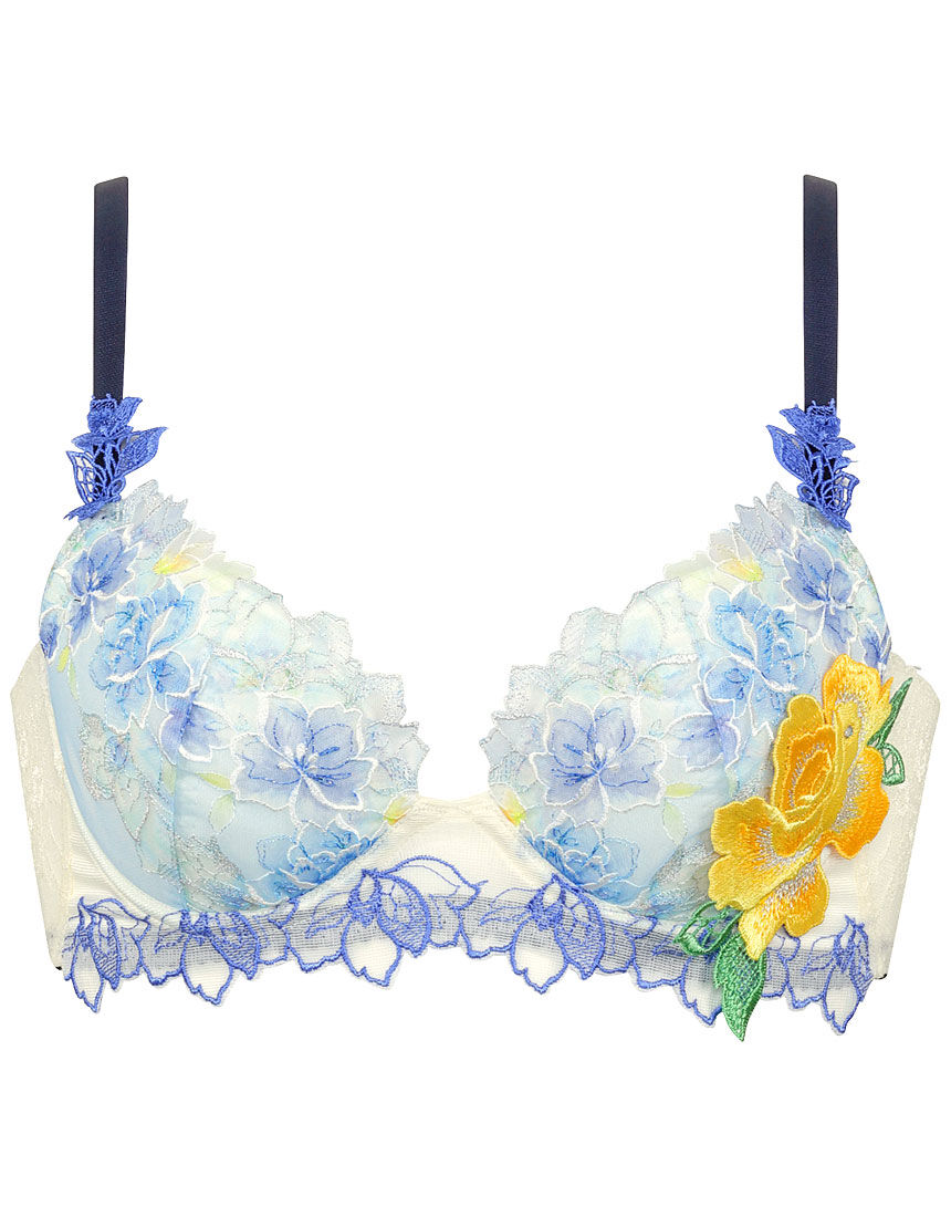 サルート66gリオのカーニバル☆C70＋Mサイズ3点セット