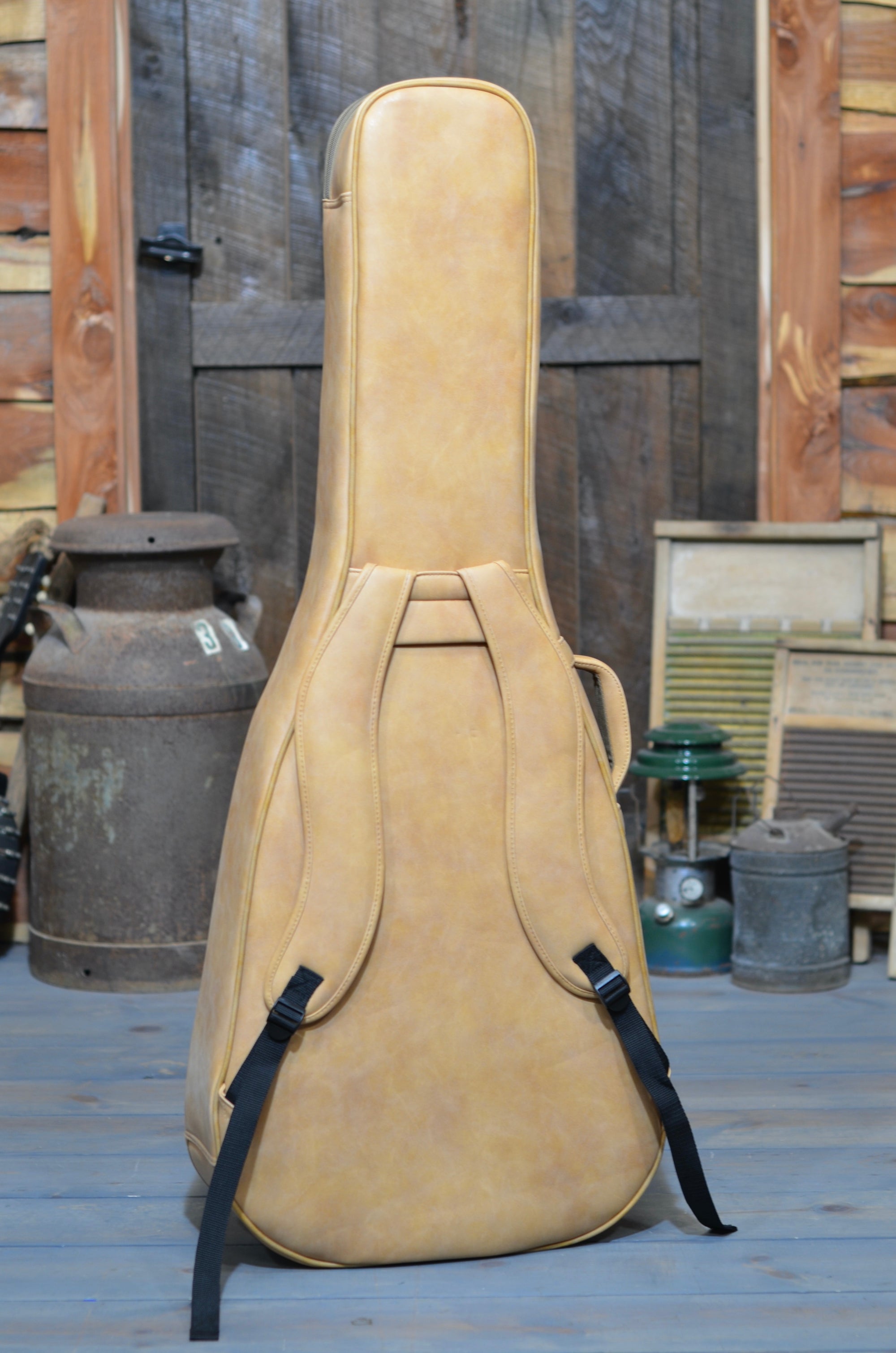 Blueridge BR-280 Dreadnought Guitar With Case - Banjo Ben's