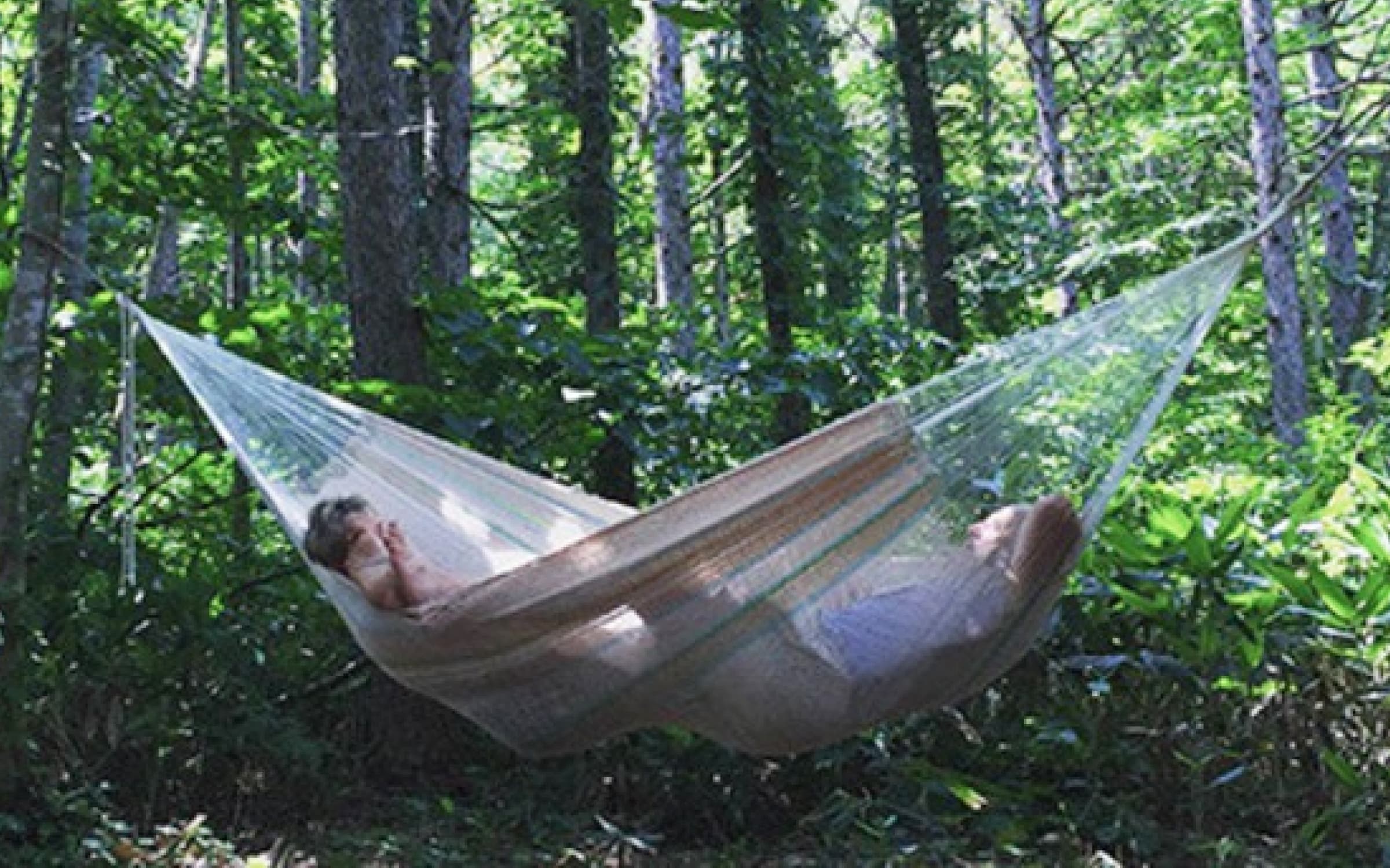 hammocks – Hammock2000