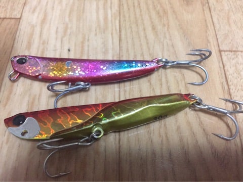 津市のサーフでフリッパーとダニエルを投げ比べ❗️ | Fooの釣りブログ