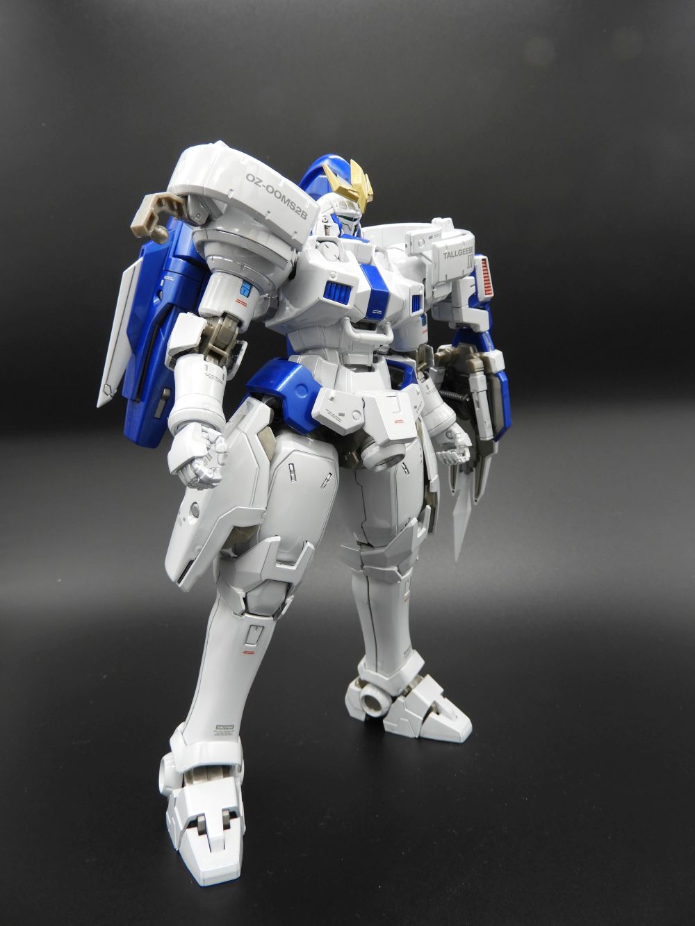 MG 1/100 OZ-00MS2B トールギスⅢ [スペシャル・コーティング] | ぼぎ