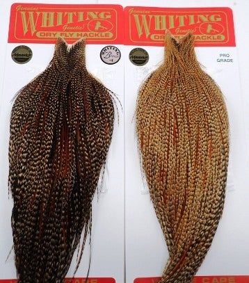 WHITING HACKLE（ホワイティングハックル）、コックネックのクリーが