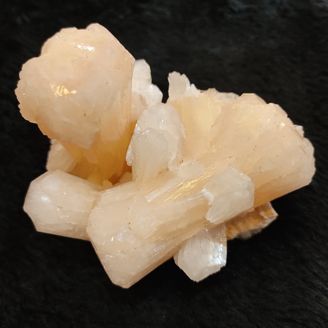 スティルバイト 原石 | アクアストーン新宿サブナード店のブログ