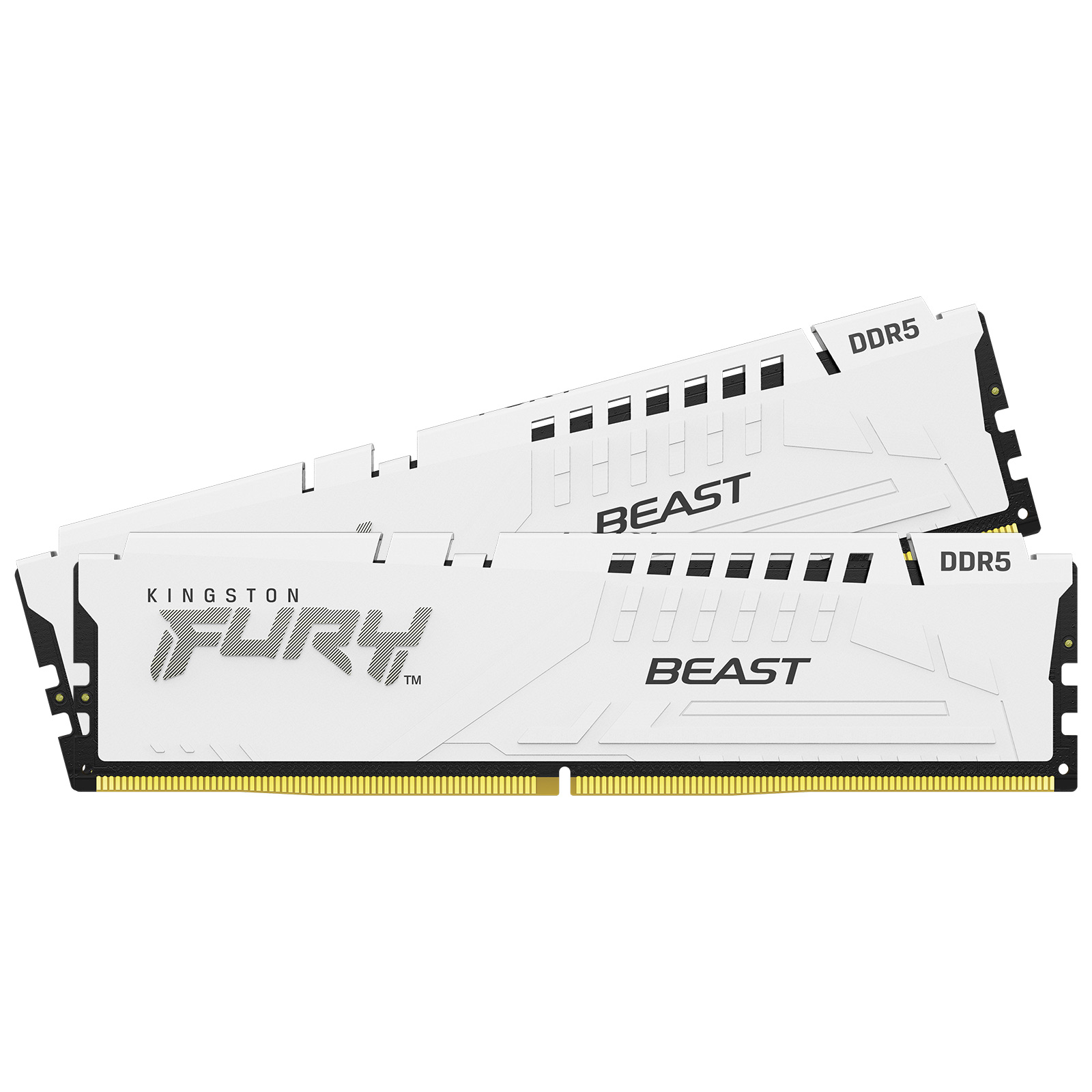 Kingston FURY Beast RGB 32GB DDR5 Desktop Memory Kit, 2 x 16GB