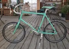 2026年最新】ミニベロ ビアンキの人気アイテム - メルカリ