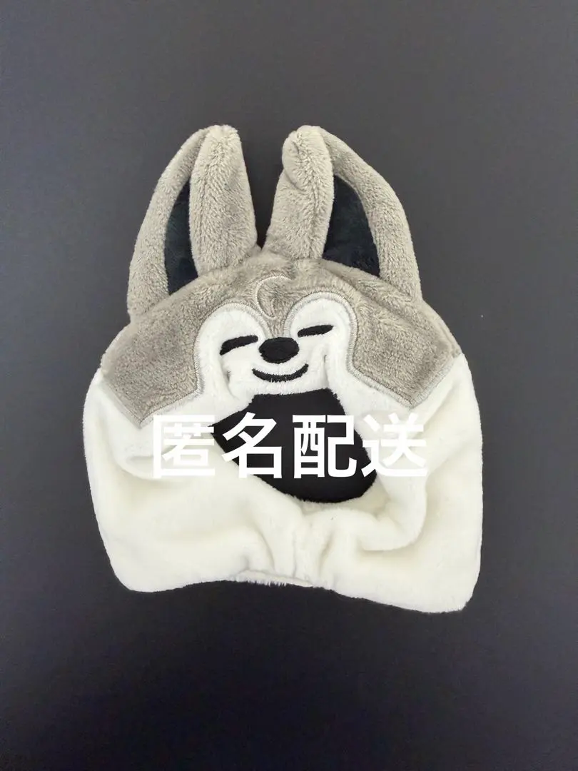 2026年最新】stray kids ペンライトカバー ハンの人気アイテム - メルカリ