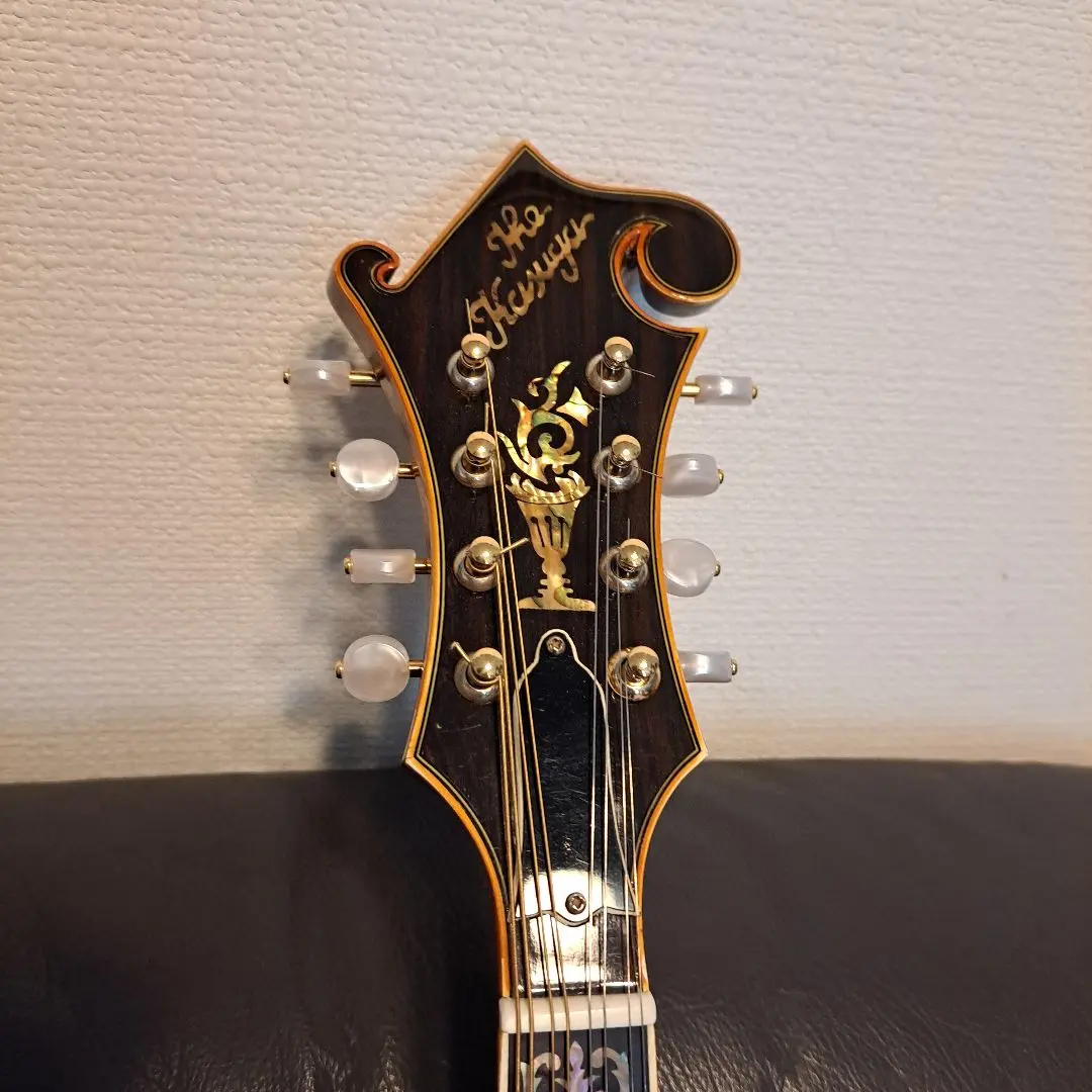 2026年最新】フラットマンドリン kasugaの人気アイテム - メルカリ