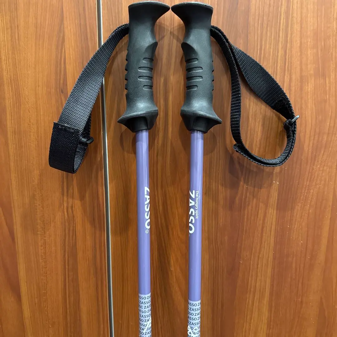 2026年最新】zasso スキーの人気アイテム - メルカリ