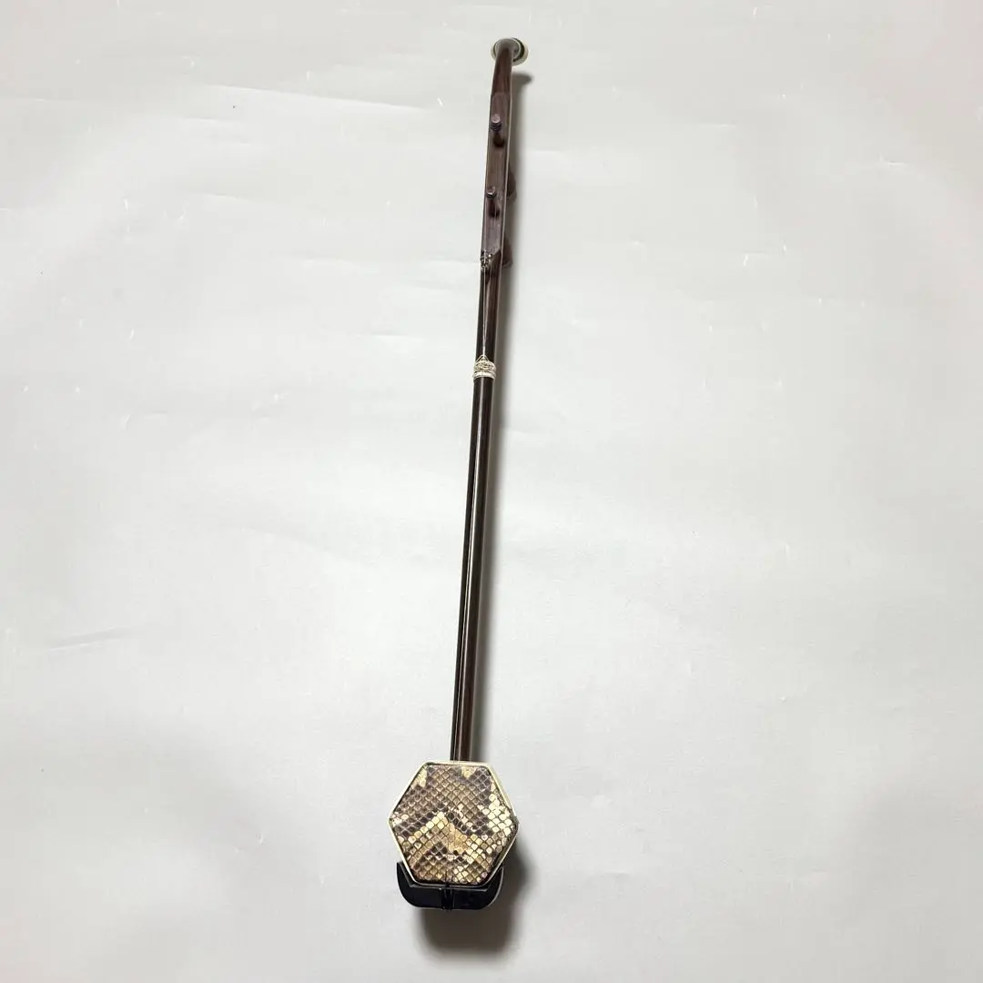 2026年最新】二胡 敦煌牌の人気アイテム - メルカリ