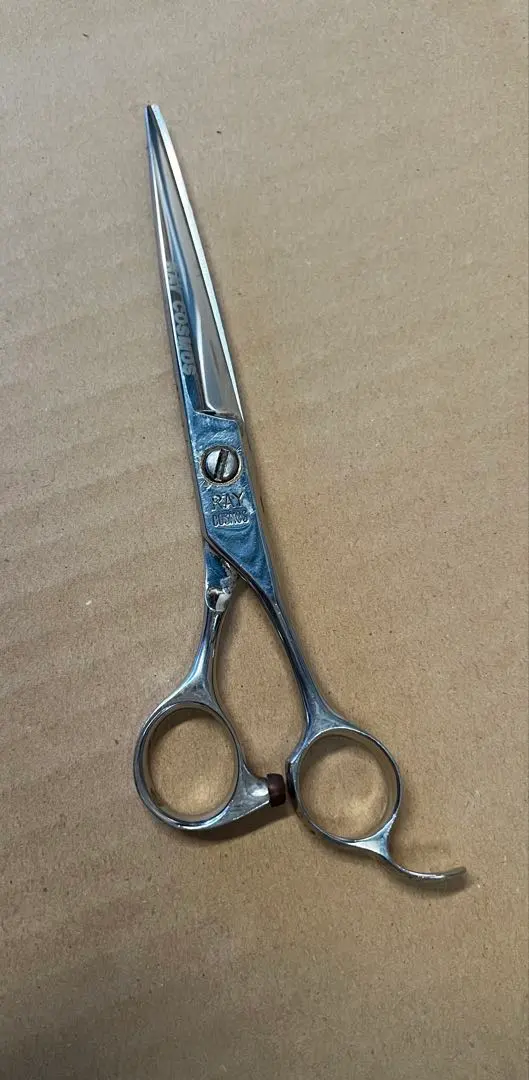 2026年最新】光シザー レイコスモスの人気アイテム - メルカリ