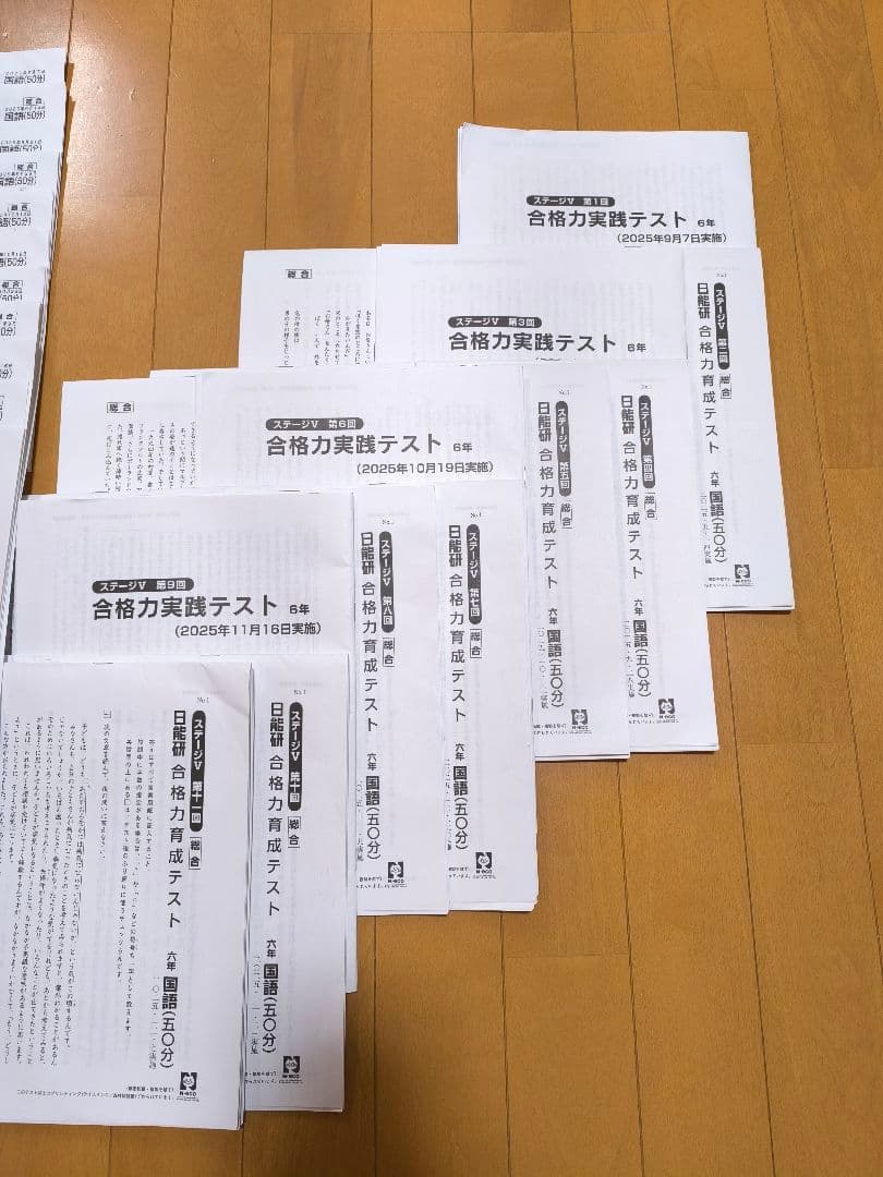 最新2025年度日能研 学習力育成テスト 後期 6年生全11回分