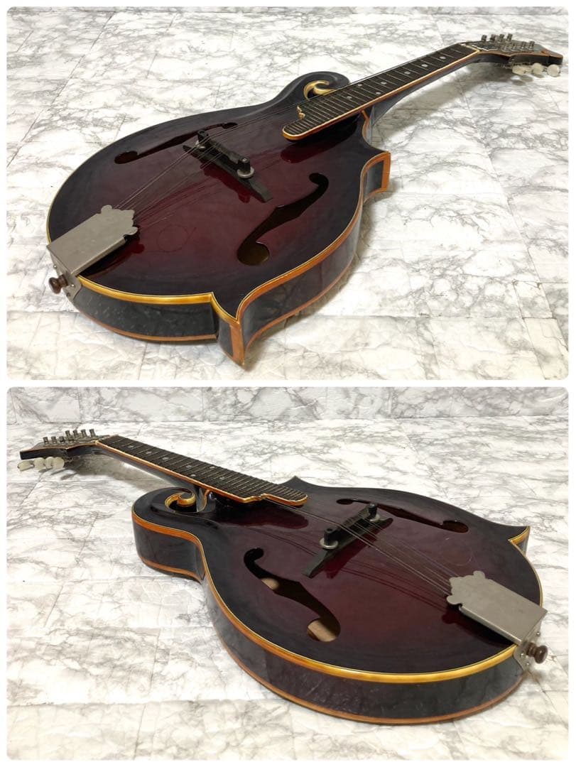 希少】BlueBell フラットマンドリン 高級 F-15 小坂部氏サインあり