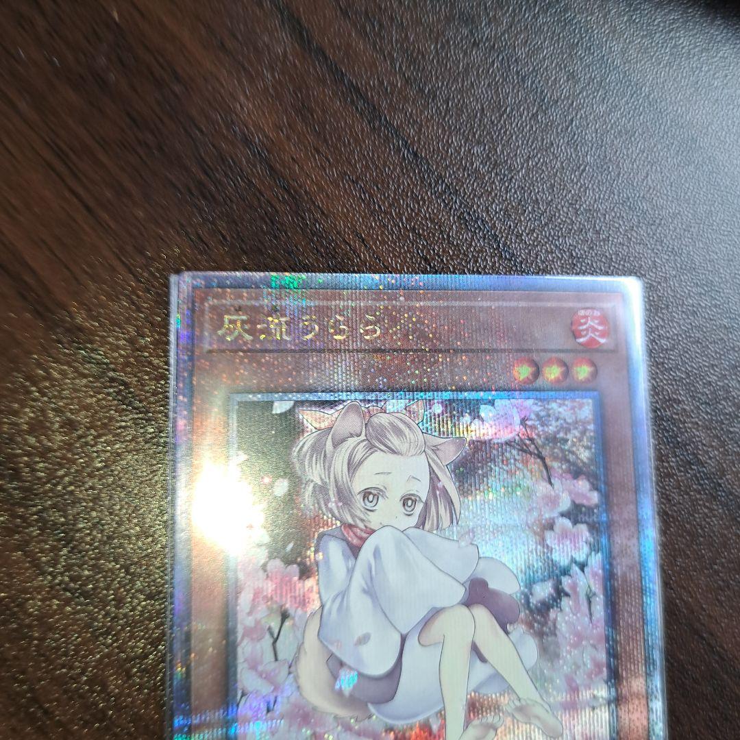 遊戯王　灰流うらら　25th　クオシク(イラスト違い版)