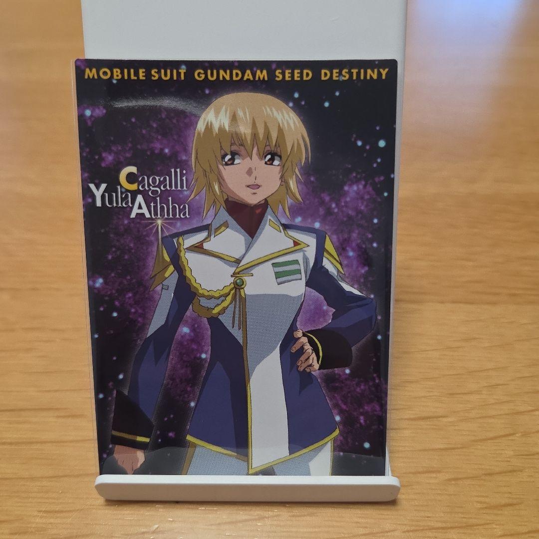 カードダスマスターズ 機動戦士ガンダムSEED DESTINY ④8枚セット