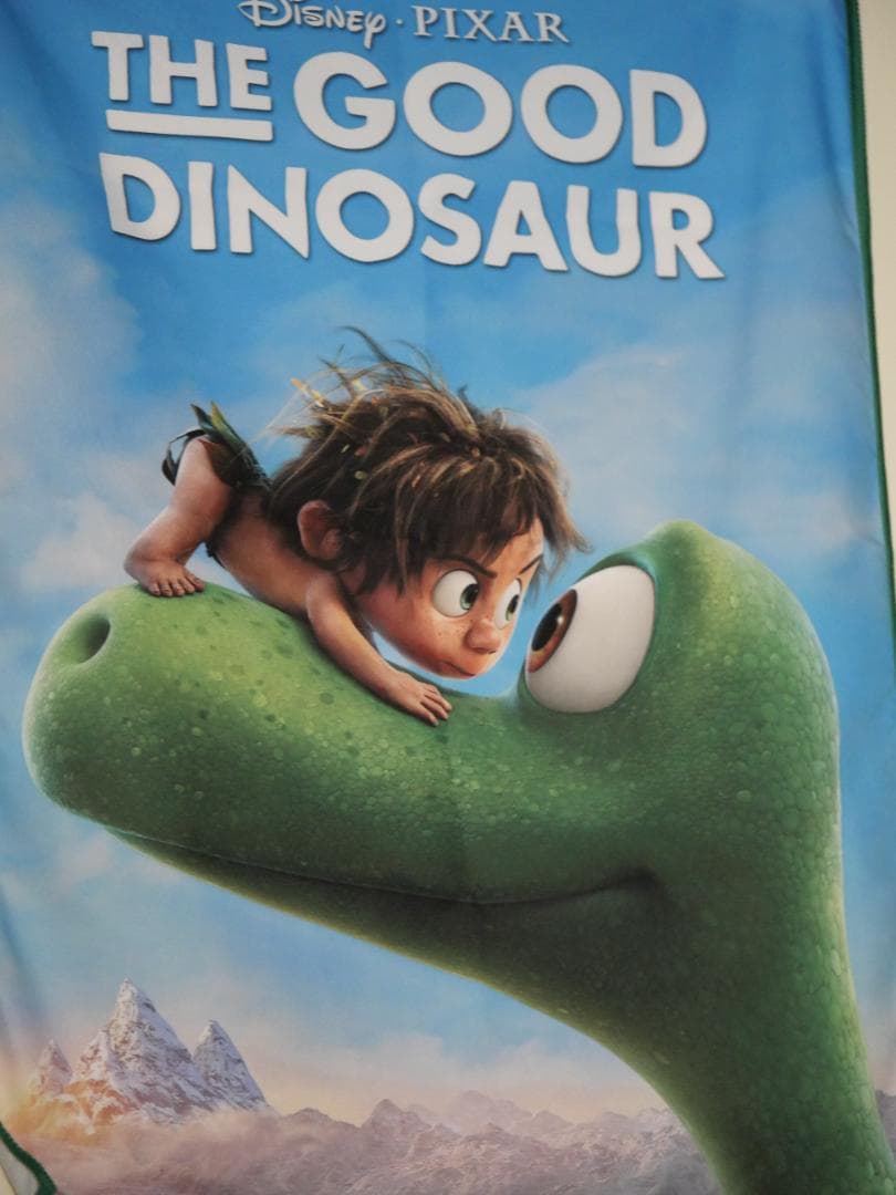 極美品 Lumix G VARIO 100-300mm/F4.0-5.6 II