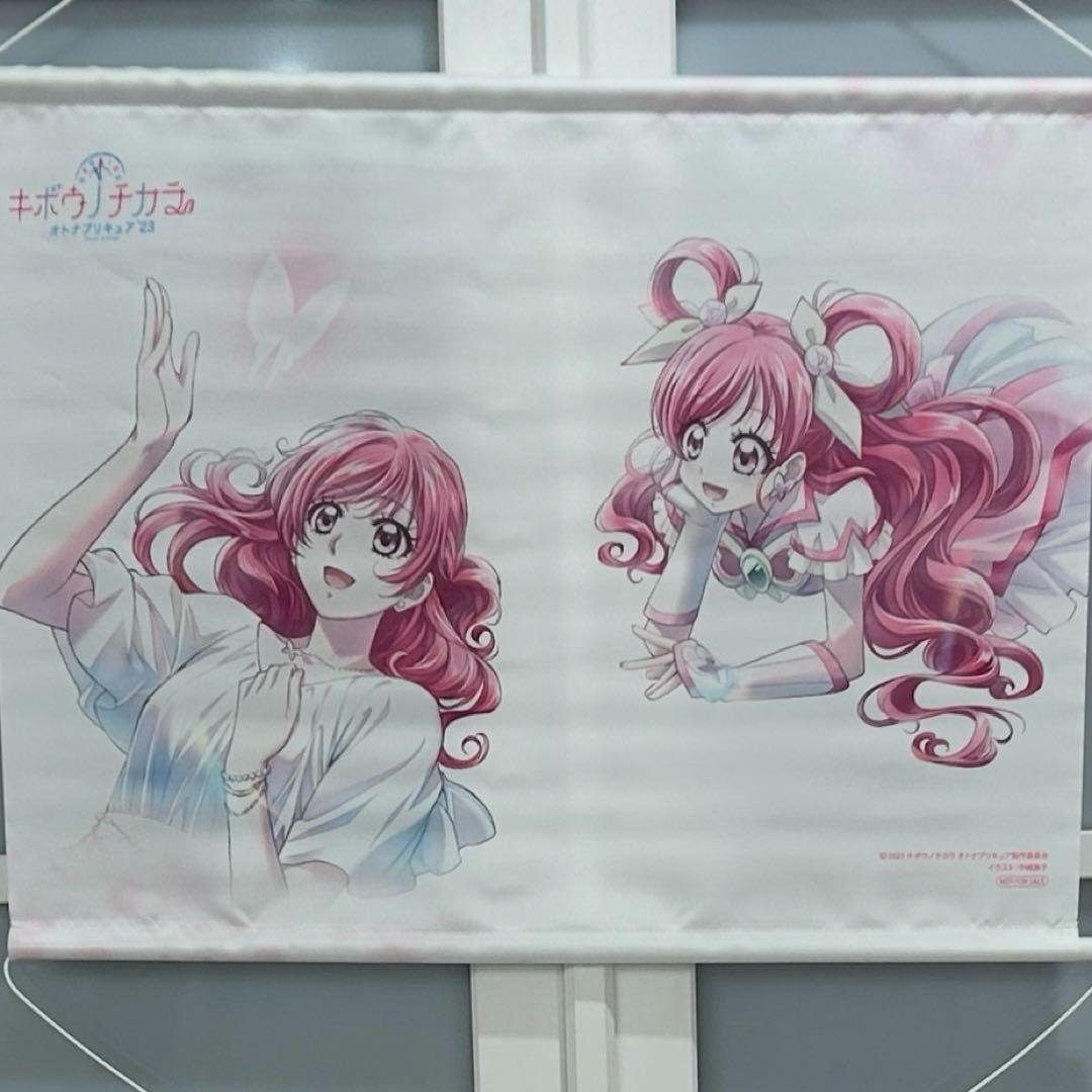 プリキュア ドリーム　タペストリー m65370295915_1.jpg?1729239418