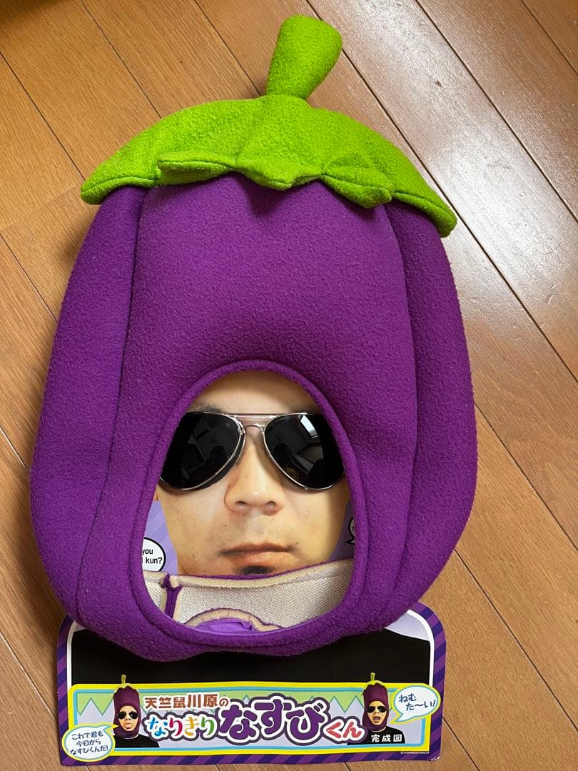 天竺鼠川原のなりきりなすびくん(サングラス付き) - メルカリ